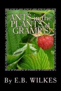 Ants in the Plants at Gramps