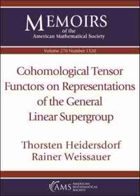 Cohomological Tensor Functors on Representations of the General Linear Supergroup