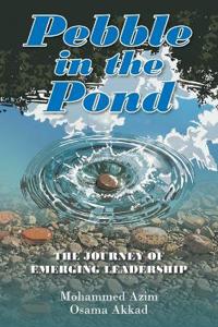 Pebble in the Pond