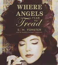 Kirjan kansi "Where Angels Fear to Tread"