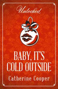 Unlocked Christmas eBook Novellas