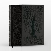 The Cruel Prince (A Novel of Elfhame)