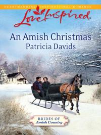Brides of Amish Country