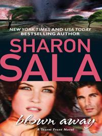 Storm Front Novel