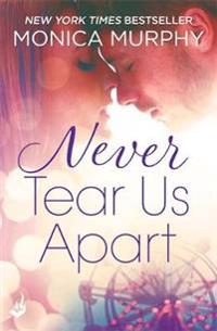 Never Tear Us Apart: Never Series 1