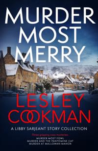 A Libby Sarjeant Murder Mystery Series