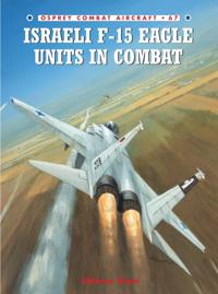 Combat Aircraft