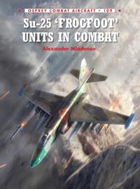 Combat Aircraft