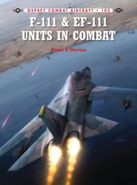 Combat Aircraft