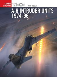 Combat Aircraft
