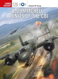Combat Aircraft