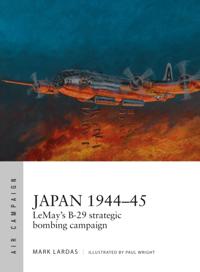 Air Campaign