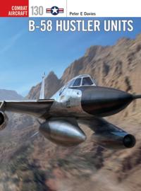 Combat Aircraft