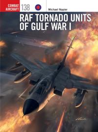 Combat Aircraft