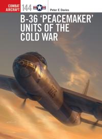 Combat Aircraft
