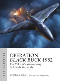 Air Campaign