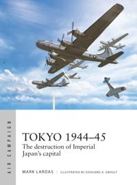 Air Campaign