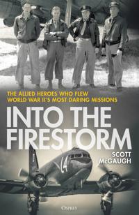 Into the Firestorm