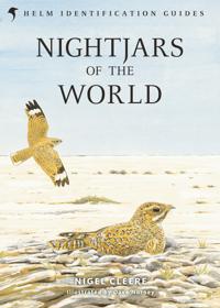 Nightjars of the World