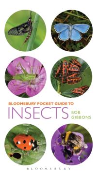 Pocket Guides