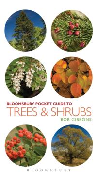 Pocket Guides