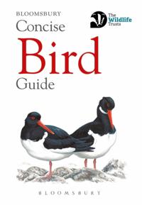 Concise Guides