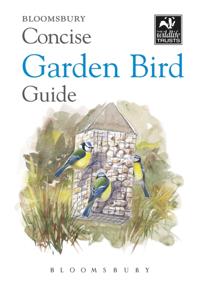 Concise Guides