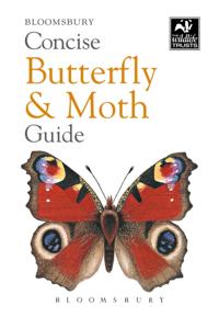 Concise Guides