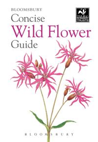 Concise Guides