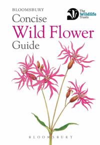 Concise Guides