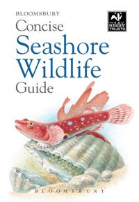 Concise Guides