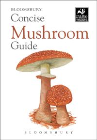 Concise Guides