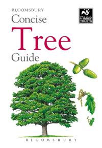 Concise Guides