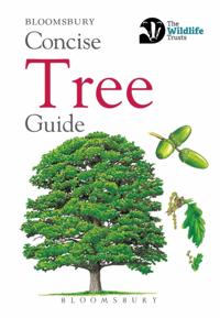 Concise Guides