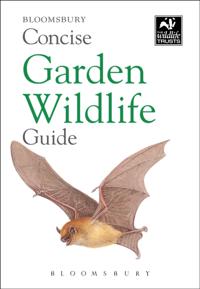 Concise Guides