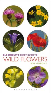 Pocket Guide To Wild Flowers
