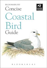 Concise Guides