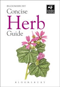 Concise Guides