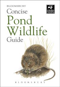 Concise Guides