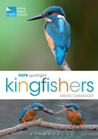 RSPB
