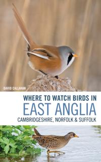 Where to Watch Birds