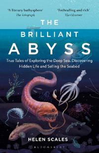 Brilliant Abyss - True Tales of Exploring the Deep Sea, Discovering Hidden