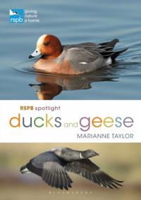 RSPB