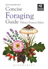 Concise Guides
