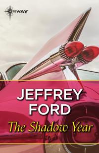 Shadow Year