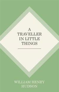 A Traveller in Little Things