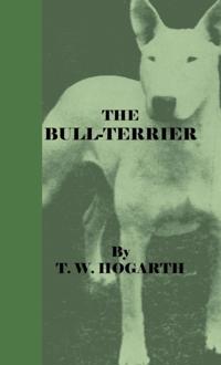 Bull-Terrier