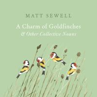 Charm of Goldfinches and Other Collective Nouns