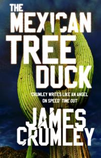 Mexican Tree Duck