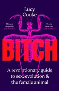 Bitch